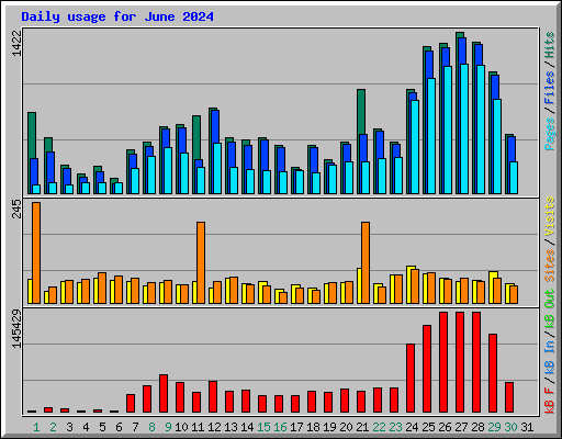 Daily usage for June 2024