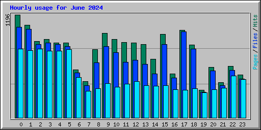 Hourly usage for June 2024